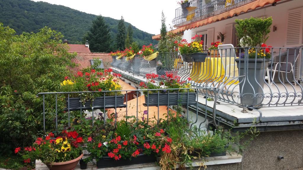 Haus Marija M Hotel Badenweiler Kültér fotó