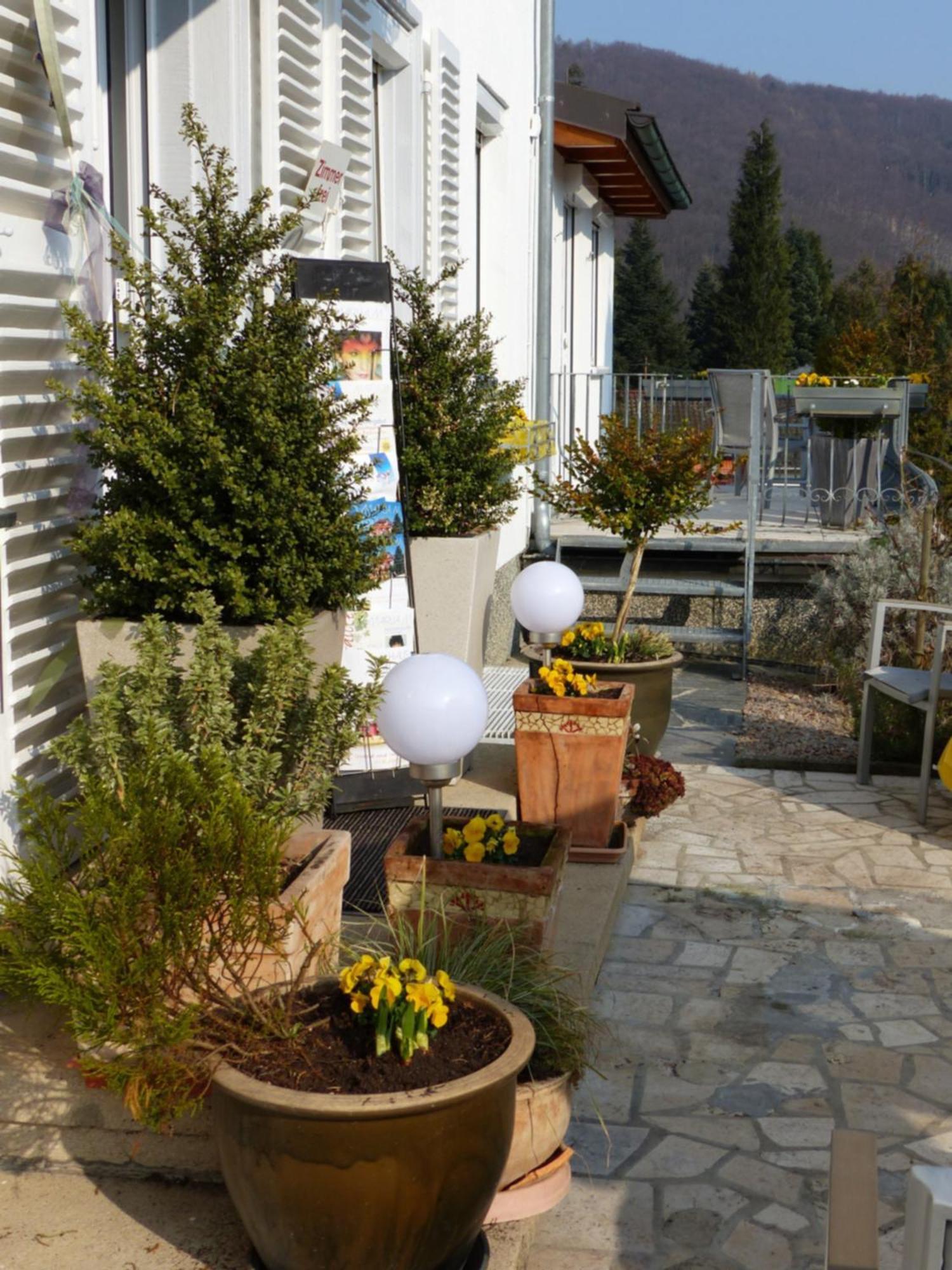 Haus Marija M Hotel Badenweiler Kültér fotó