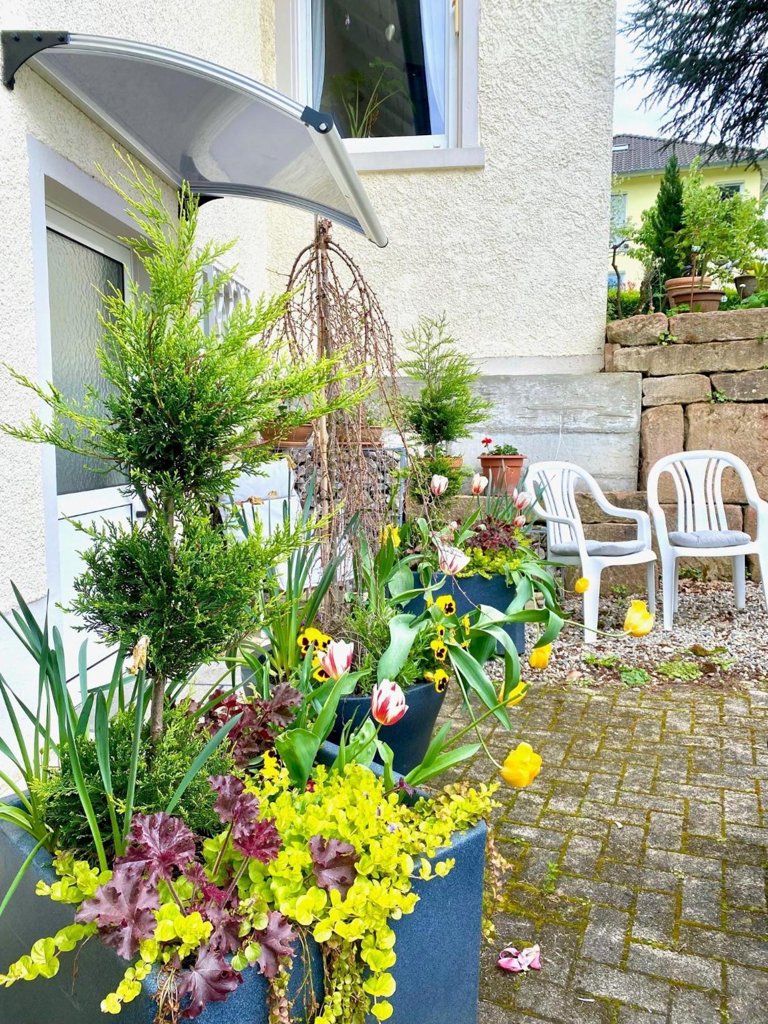 Haus Marija M Hotel Badenweiler Szoba fotó