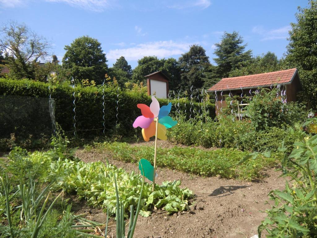 Haus Marija M Hotel Badenweiler Kültér fotó