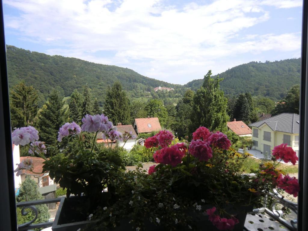 Haus Marija M Hotel Badenweiler Kültér fotó