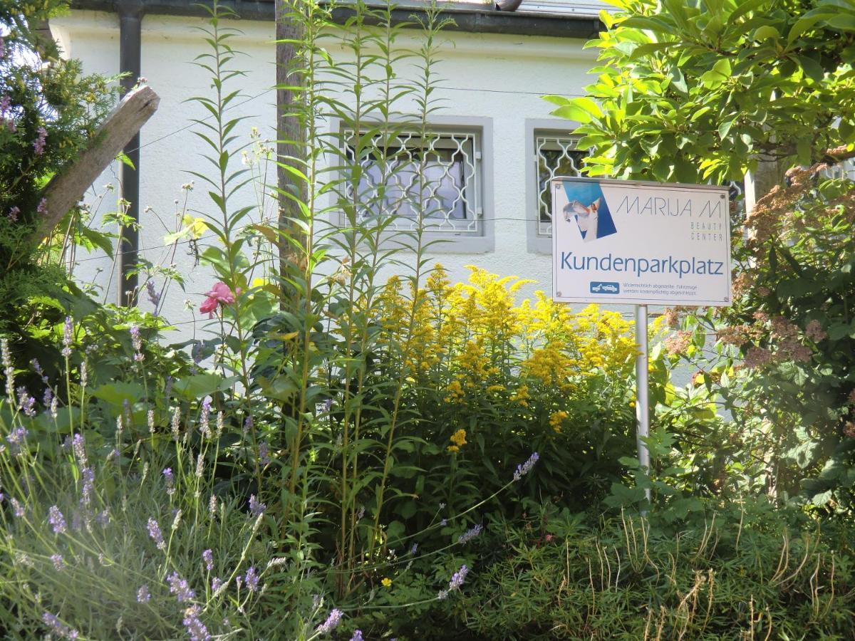 Haus Marija M Hotel Badenweiler Kültér fotó